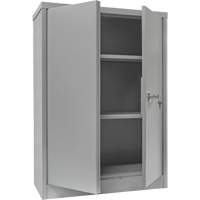Counter-High Storage Cabinet, Steel, 2 Shelves, 42" H x 48" W x 24" D, Grey Action Paper