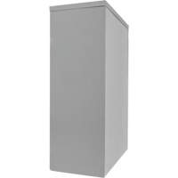 Counter-High Storage Cabinet, Steel, 2 Shelves, 42" H x 48" W x 24" D, Grey Action Paper