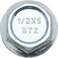 Wedge Bolts, Carbon Steel, 1/2" x 2" Action Paper