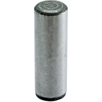 Dowel Pin, Plain, 1-1/2" L, 1/4" Dia. Action Paper