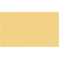 Cales minces chromocod&eacute;es en plastique Action Paper