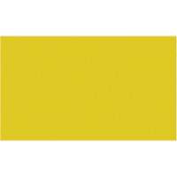 Cales minces chromocod&eacute;es en plastique Action Paper