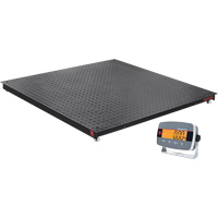 Defender™ 3000 Floor Scale, 5000 lbs. Capacity, 4" L x 4" W ID037 | Action Paper