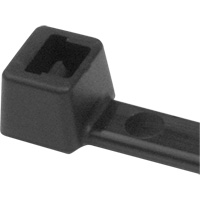 PA66 Cable Ties, 5-1/2" Long, 18 lbs. Tensile Strength, Black Action Paper