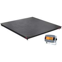 DEFENDER 3000 Floor Scale, 2500 lbs. Capacity, 48" W x 48" L Action Paper