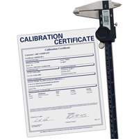 Pied &agrave; coulisse num&eacute;rique avec certificat de traçabilit&eacute;, R&eacute;solution de 0,0005" (0,01 mm), 0" - 12" (0 mm - 300 mm) gamme de mesure Action Paper