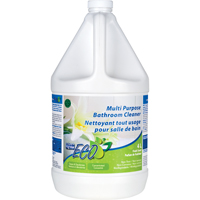 Multi-Purpose Concentrated Bathroom Cleaner, 4 L, Jug JC004 | Action Paper