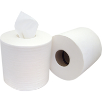 Chiffons &agrave; distribution par le centre Pro Tuff-Job, Sp&eacute;cialis&eacute;, 400' lo x 8" la Action Paper