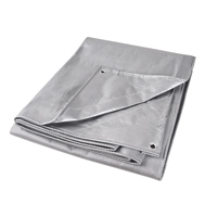 Tarp, Super Heavy-Duty, Silver, 10' x 8' x 12 mils Action Paper