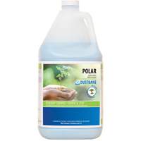 Nettoyant pour salle de bain Polar, 4 L, Cruche Action Paper