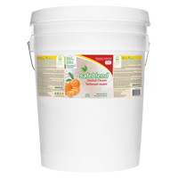 Neutral Cleaner, 20 L, Pail Action Paper