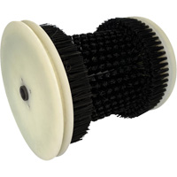 Brosse de recharge Action Paper