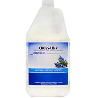 Produit d'entretien pour astiquage Cross-Link, 4 L, Cruche Action Paper