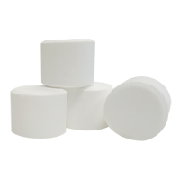Tablettes d&eacute;sinfectantes et assainissantes Unitab, 786 g, Seau Action Paper
