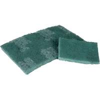 Scrubber Pad, 3" L x 4-1/2" W Action Paper