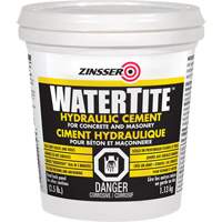 Watertite&reg; Hydraulic Cement Action Paper