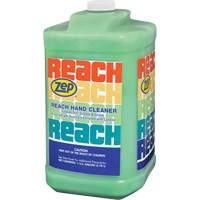 Reach Extra Heavy-Duty Hand Cleaner, Pumice, 3.78 L, Jug, Scented Action Paper