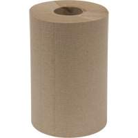 Everest Pro Paper Towel Rolls, 1 Ply, Standard, 300' L Action Paper