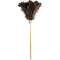 Superior Feather Duster, Ostrich Feather Action Paper
