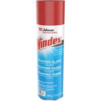 Windex&reg; Foaming Glass Cleaner, 560 g, Aerosol Can Action Paper