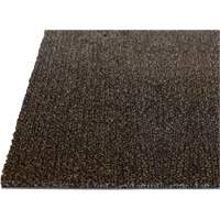 Tapis dint&eacute;rieur Palliser, Essuie-pieds/grattoir, 3-1/2' x 6' x 5/16", Anglis Action Paper