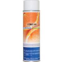 Air Freshener, Citrus, Aerosol Can Action Paper