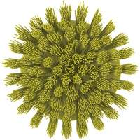 HyDrive Round Drill Brush, Extra Stiff Bristles, 3-1/10" Long, Yellow Action Paper