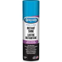 Brillant instantan&eacute; Pro Line pour surfaces en plastique, 11 oz, Canette a&eacute;rosol Action Paper