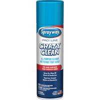 Nettoyant tout usage Pro Line Crazy Clean, 19 oz., Canette a&eacute;rosol Action Paper