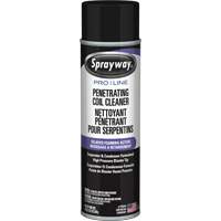 Nettoyant p&eacute;n&eacute;trant pour bobines Pro Line &agrave; action moussante diff&eacute;r&eacute;e, 19 oz., Canette a&eacute;rosol Action Paper