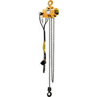 Budgit&reg; Air Chain Hoists Action Paper
