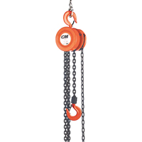 Chain Hoist, 8' Lift, 6000 lbs. (3 tons) Capacity, Steel Chain Action Paper