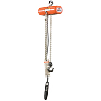 ShopStar Electric Hoists, 10' Lift, 250 lbs. (0.125 tons) Capacity, 16 FPM Action Paper