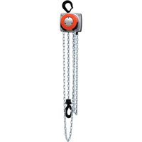 Hurricane 360° Chain Hoist, 10' Lift, 1000 lbs. (0.5 tons) Capacity, Steel Chain Action Paper