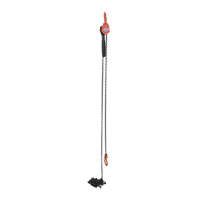 Mini Lever Hoist, 15' Lift, 1000 lbs. (0.5 tons) Capacity, Steel Chain Action Paper