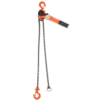 Lever Chain Hoist, 10' Lift, 1000 lbs. (0.5 tons) Capacity, Alloy Steel Chain Action Paper