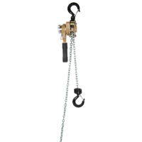 Heavy Duty Gold Series Lever Chain Hoist, 10' Lift, 500 lbs. (0.25 tons) Capacity, Alloy Steel Chain Action Paper