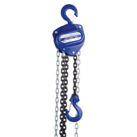 Chain Hoist, 10' Lift, 2000 lbs. (1 tons) Capacity, Load Chain Grade 80 Chain Action Paper