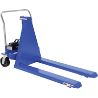 Electric Skid Lifts
