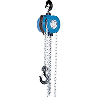 Tralift&reg; Manual Chain Hoist, 10' Lift, 4000 lbs. (2 tons) Capacity, Grade 80 Chain Action Paper