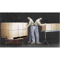 Spring-Operated Pallet Lifters - Pallet Pal<sup>®</sup>, 43-5/8" L x 43-5/8" W, 4500 lbs. Cap. MK836 | Action Paper