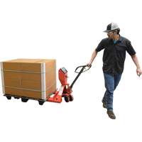 Pallet Truck, 48" L x 27.5" W, 5000 lbs. Cap. Action Paper