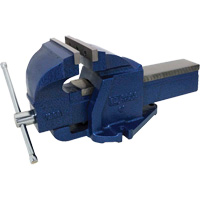 Cast Ductile Iron Bench Vise, 6" Jaw Width, 3-3/4" Throat Depth Action Paper