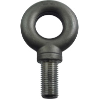 Alloy Steel Eye Bolt, 3-1/4" Dia., 4" L, 47600 lbs. (23.8 tons)/47600 lbs. Capacity Action Paper