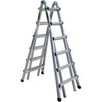 Telescoping Multi-Position Ladder, Aluminum, 300 lbs. Action Paper