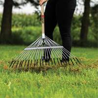 Lawn Rake, 24 Tines, Hardwood Handle, Steel Blade Action Paper