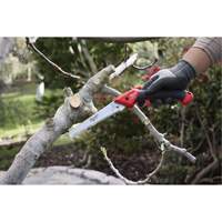7” Folding Pruning Saw with ?Straight Blade Action Paper