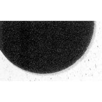 7300 Pro-Strip Pads, 17", Stripping, Black Action Paper