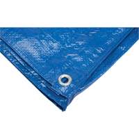 Tarp, Standard Duty, Blue, 7' x 5' x 4 mils Action Paper