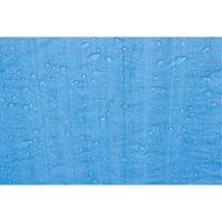 Tarp, Standard Duty, Blue, 7' x 5' x 4 mils Action Paper